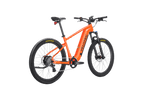 Summit 1 Ebike