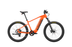 Summit 1 Ebike