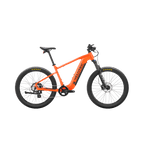 Summit 1 Ebike