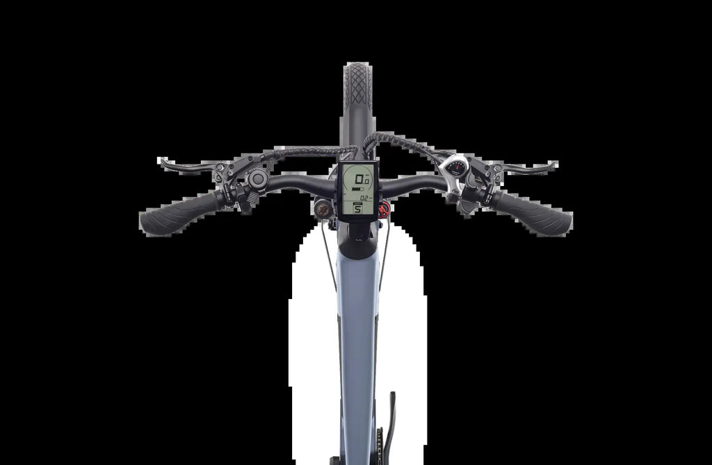 Discover 1 plus Ebike