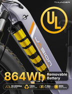 Thunder Electric Bike for Adults, 26'' X 4'' Fat Tire Ebike with 48V 18Ah Removable Battery, APP Control Electric Mountain Bike, UL2849