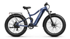 Boxer Ebike