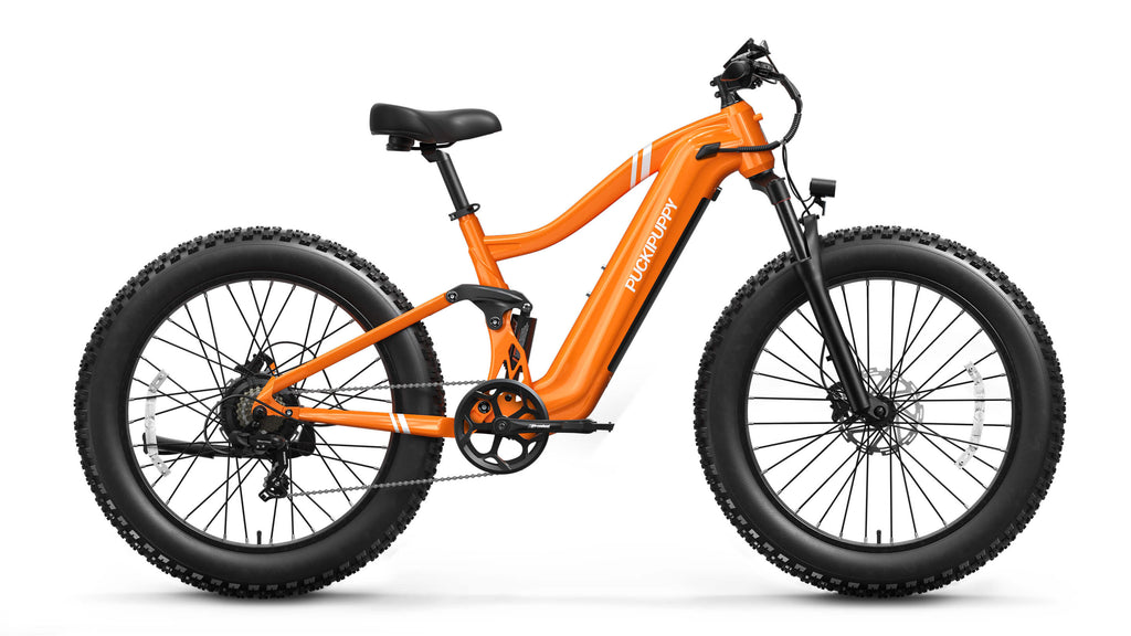 Boxer Ebike