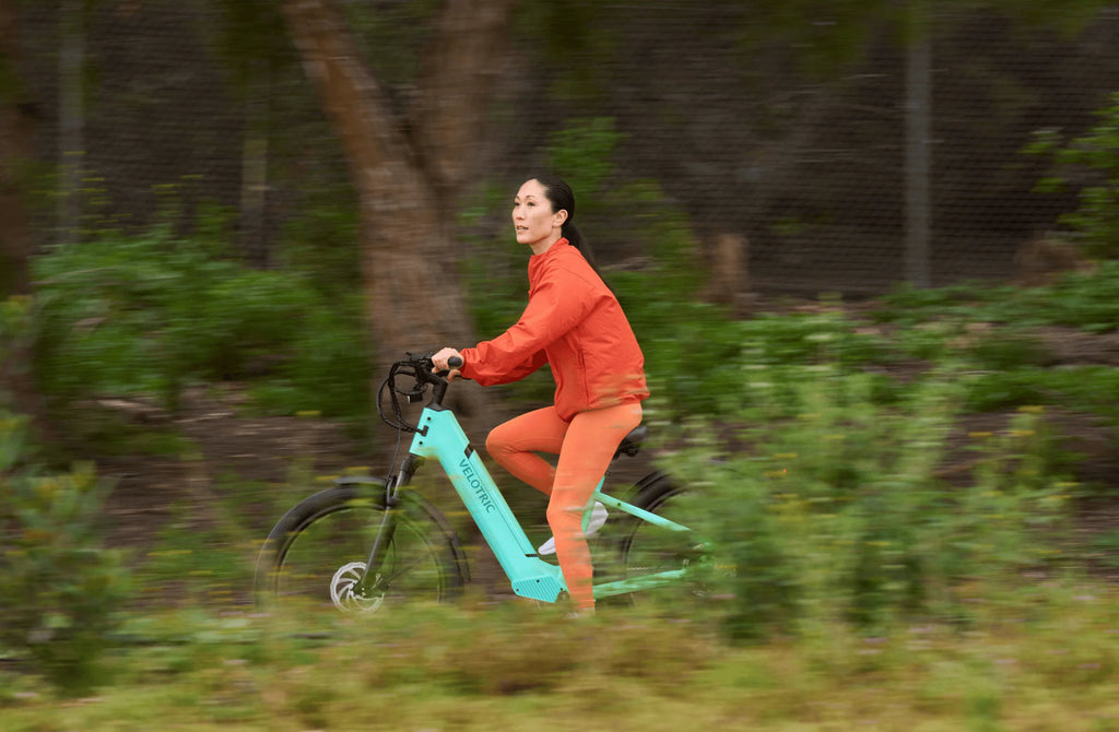 Discover 1 plus Ebike