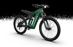 Bronco Ebike