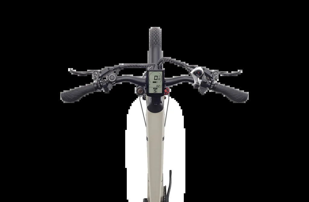 Discover 1 plus Ebike