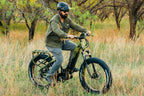 Denago Hunting 1 Emtb Mountain Ebike