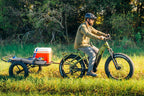 Denago Hunting 1 Emtb Mountain Ebike