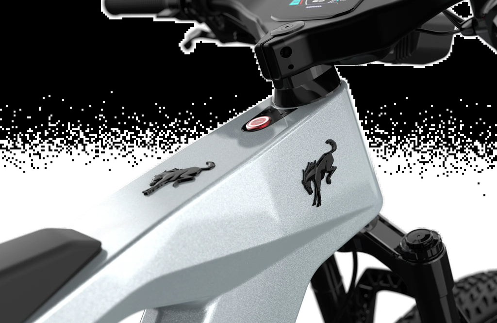 Bronco Ebike