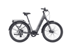 Discover 2 Ebike